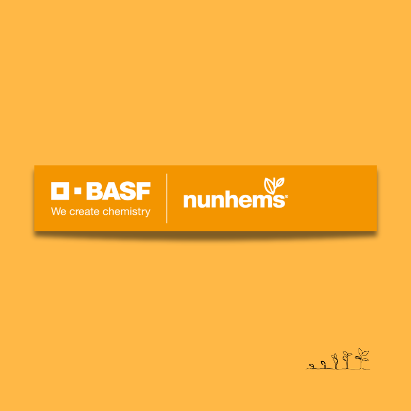 BASF Nunhems. Leader sementiero